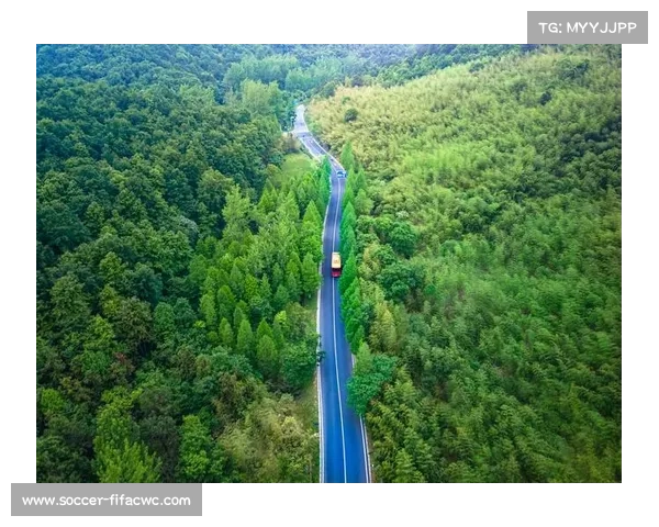 摩托车电动组世锦赛启动 首站落户上海国际赛道引领绿色出行新风潮 摩托车电动组世锦赛启动 首站落户上海国际赛道引领绿色出行新风潮