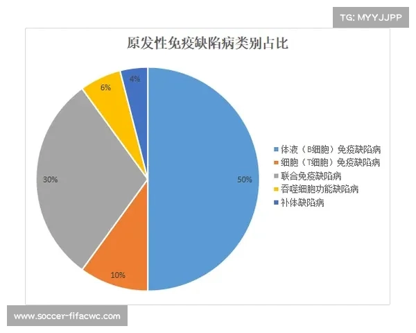 VAR介入时间过长导致技术缺陷影响比赛流畅性需改进